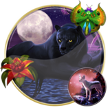 Panther Moon